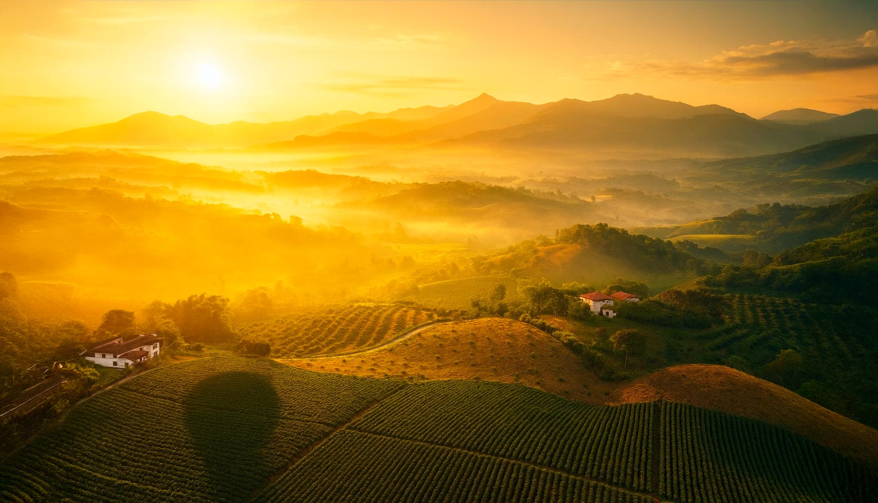 Hero 2560x1400 imagen 3