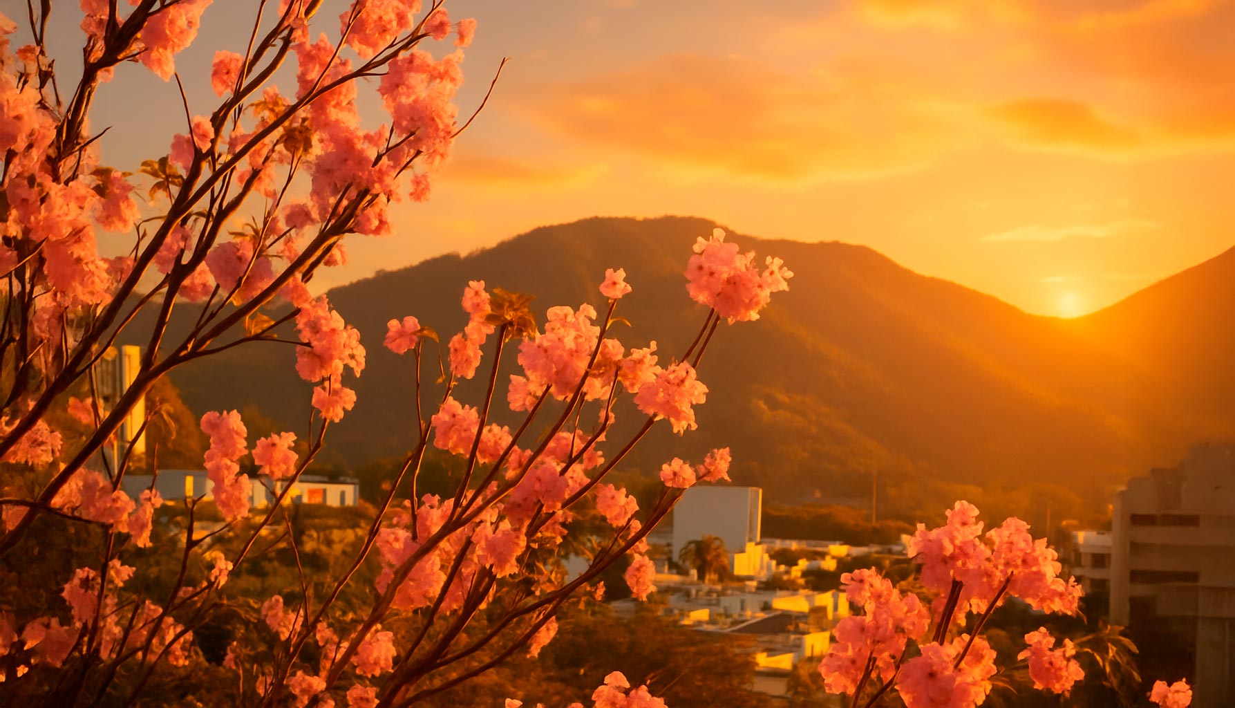 Hero 2560x1400 imagen 2