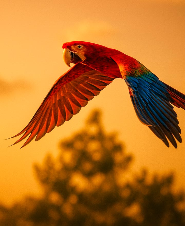 Proyecto EcoHome – visual principal